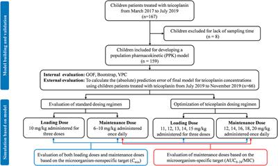 Population Pharmacokinetics and Model-Based Dosing Optimization of Teicoplanin in Pediatric Patients